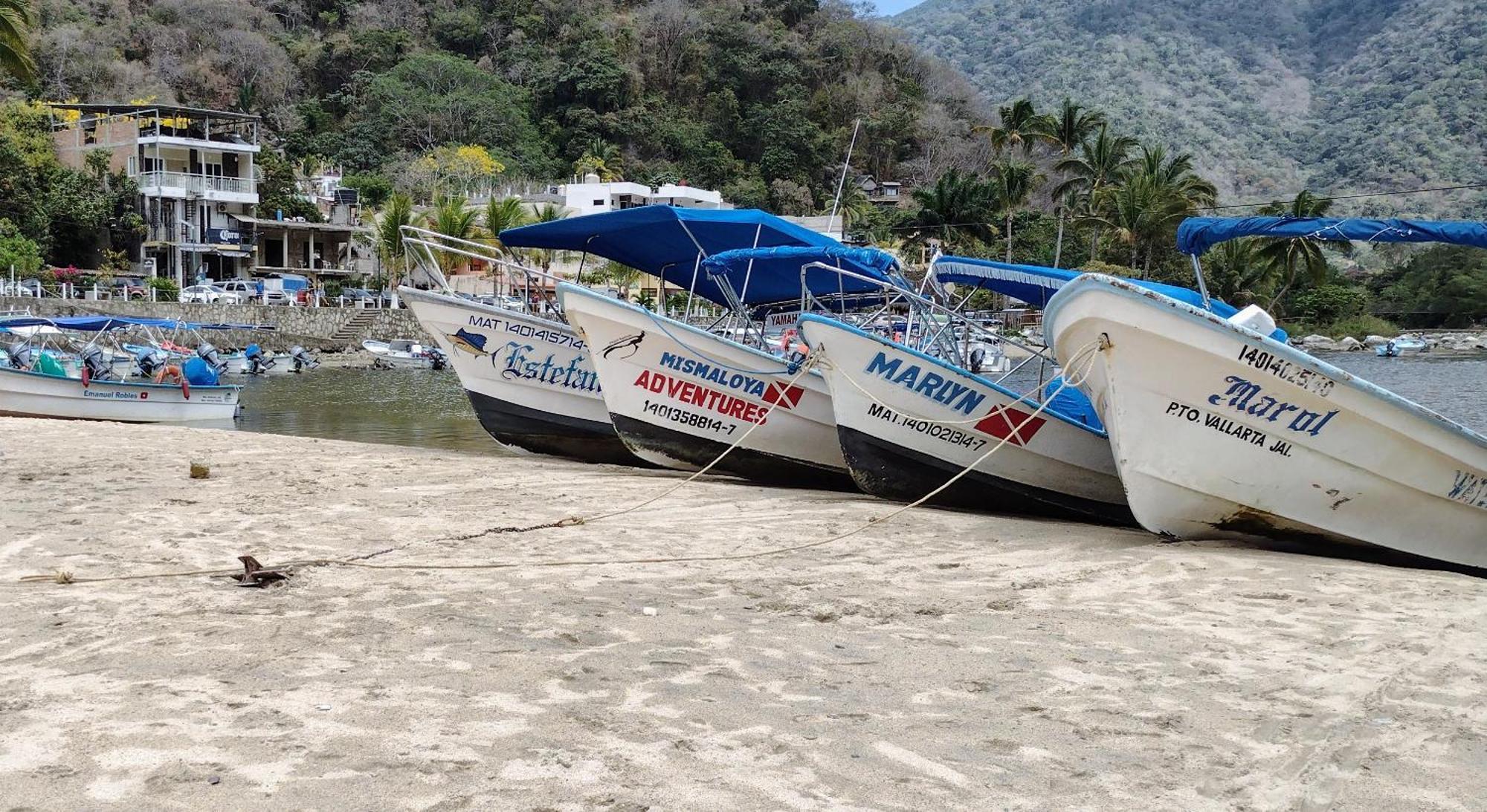 Villas Del Amor Amor Puerto Vallarta Dış mekan fotoğraf