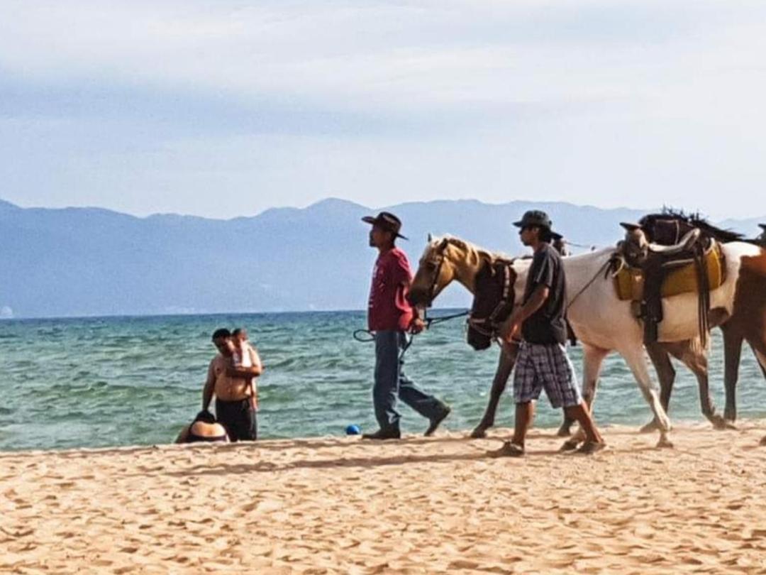 Villas Del Amor Amor Puerto Vallarta Dış mekan fotoğraf